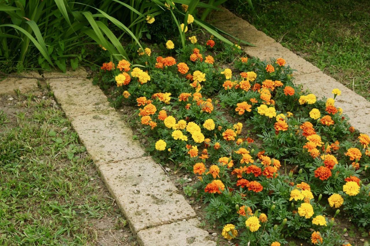 B&B The Secret Garden Buia Exterior foto